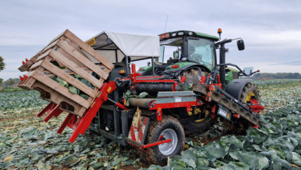 Masina de recoltat varza VITUS Brassica Storage VANHOUCKE