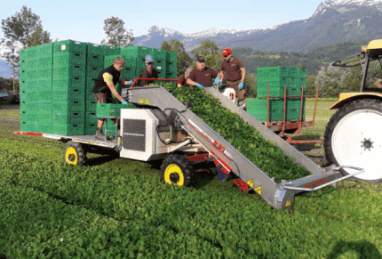 Masina autopropulasata pt recoltat salata FR60 DE PIETRI